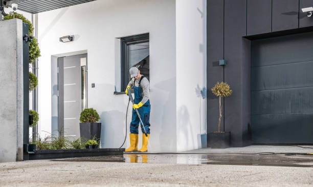 Best Solar Panel Cleaning  in Shoreview, MN